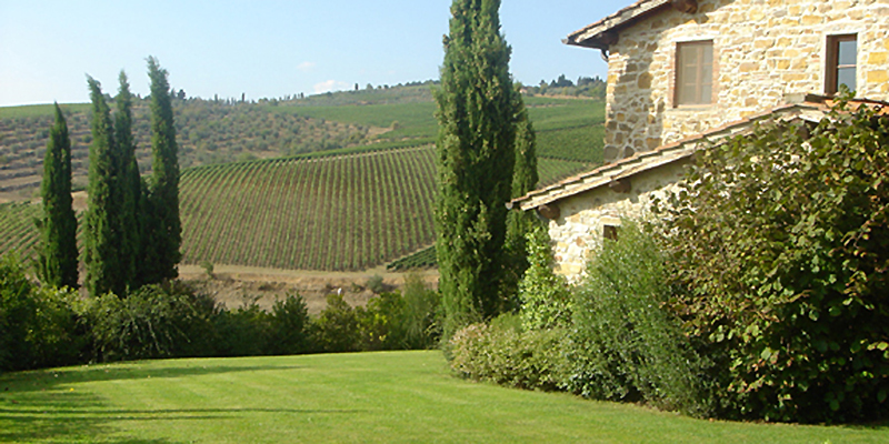 serene vineyards at Il Ciliegio